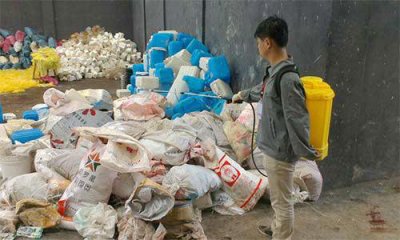 垃圾房消杀服务