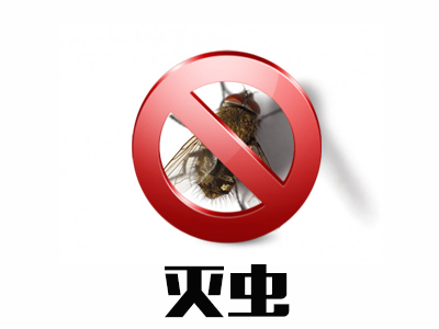 灭蝇服务